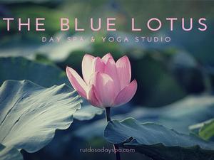 Blue Lotus Healing Arts Center 